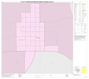 P.L. 94-171 County Block Map (2010 Census): Montague County, Inset D01