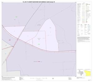 P.L. 94-171 County Block Map (2010 Census): Smith County, Inset C01