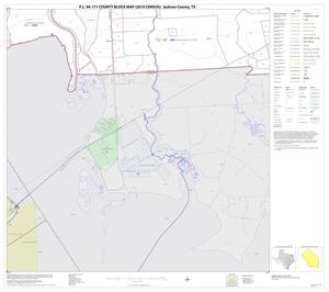 Primary view of object titled 'P.L. 94-171 County Block Map (2010 Census): Jackson County, Block 17'.