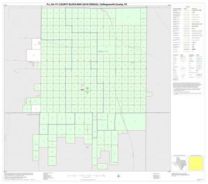 P.L. 94-171 County Block Map (2010 Census): Collingsworth County, Inset A01