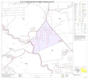 P.L. 94-171 County Block Map (2010 Census): Montgomery County, Block 39
