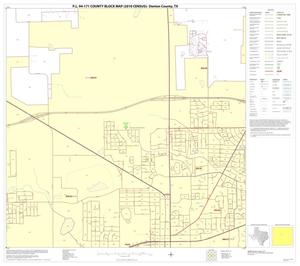 P.L. 94-171 County Block Map (2010 Census): Denton County, Block 35
