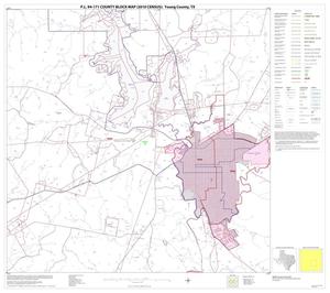 P.L. 94-171 County Block Map (2010 Census): Young County, Block 11