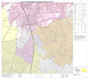 P.L. 94-171 County Block Map (2010 Census): Williamson County, Block 31