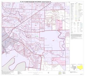 P.L. 94-171 County Block Map (2010 Census): Cameron County, Block 61