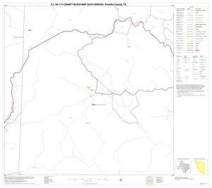P.L. 94-171 County Block Map (2010 Census): Presidio County, Block 41