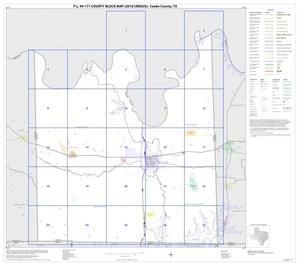 Primary view of object titled 'P.L. 94-171 County Block Map (2010 Census): Cooke County, Index'.