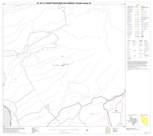 P.L. 94-171 County Block Map (2010 Census): Presidio County, Block 40