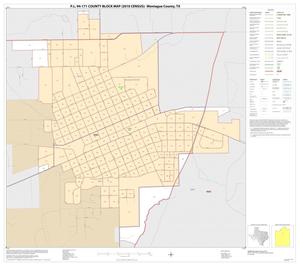 P.L. 94-171 County Block Map (2010 Census): Montague County, Inset B01