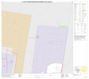 P.L. 94-171 County Block Map (2010 Census): Starr County, Inset G01