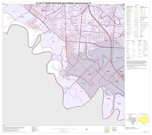 P.L. 94-171 County Block Map (2010 Census): Cameron County, Block 60
