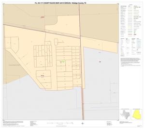 P.L. 94-171 County Block Map (2010 Census): Hidalgo County, Inset X01