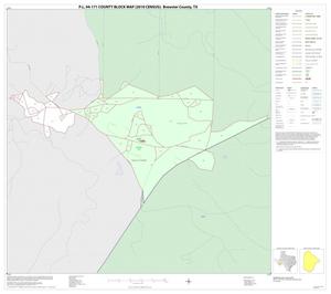 P.L. 94-171 County Block Map (2010 Census): Brewster County, Inset C01