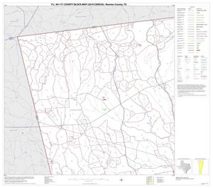 P.L. 94-171 County Block Map (2010 Census): Newton County, Block 2