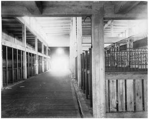 [Cattle Barn at the North Stockyards]
