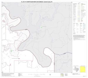 P.L. 94-171 County Block Map (2010 Census): Concho County, Block 4