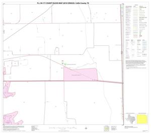 P.L. 94-171 County Block Map (2010 Census): Collin County, Block 59