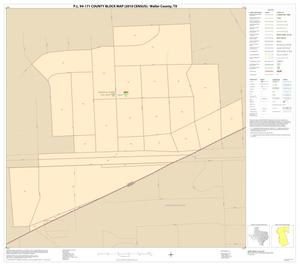 P.L. 94-171 County Block Map (2010 Census): Waller County, Inset E01