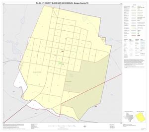 P.L. 94-171 County Block Map (2010 Census): Bosque County, Inset B01