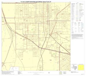 P.L. 94-171 County Block Map (2010 Census): Denton County, Block 45
