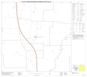 P.L. 94-171 County Block Map (2010 Census): Collin County, Block 38