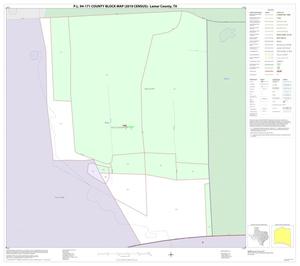 P.L. 94-171 County Block Map (2010 Census): Lamar County, Inset D01