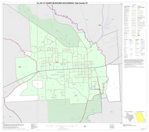 P.L. 94-171 County Block Map (2010 Census): Tyler County, Inset B01
