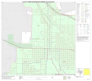 P.L. 94-171 County Block Map (2010 Census): Scurry County, Inset B02