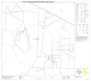 P.L. 94-171 County Block Map (2010 Census): Reeves County, Block 17