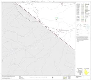 P.L. 94-171 County Block Map (2010 Census): Reeves County, Block 42