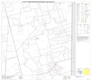 P.L. 94-171 County Block Map (2010 Census): Upton County, Block 6