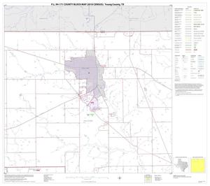 Primary view of object titled 'P.L. 94-171 County Block Map (2010 Census): Young County, Block 2'.