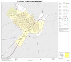 P.L. 94-171 County Block Map (2010 Census): Runnels County, Inset D01