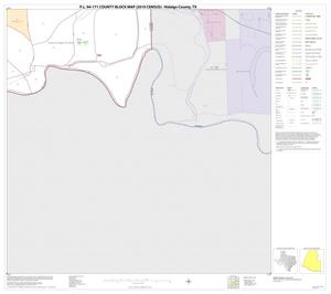 P.L. 94-171 County Block Map (2010 Census): Hidalgo County, Block 118