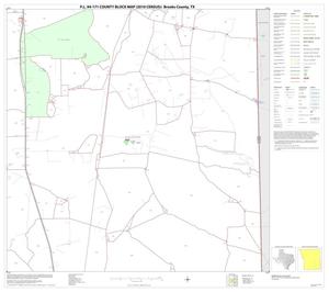 P.L. 94-171 County Block Map (2010 Census): Brooks County, Block 10