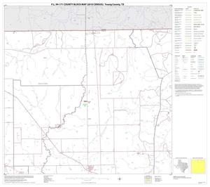 P.L. 94-171 County Block Map (2010 Census): Young County, Block 3