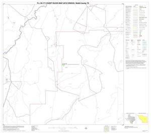 P.L. 94-171 County Block Map (2010 Census): Webb County, Block 31