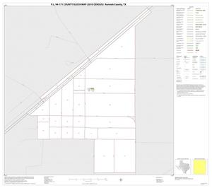 P.L. 94-171 County Block Map (2010 Census): Runnels County, Inset F01