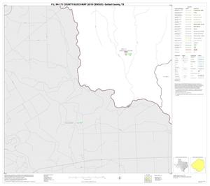 P.L. 94-171 County Block Map (2010 Census): Goliad County, Block 13
