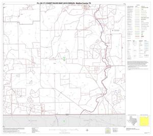 P.L. 94-171 County Block Map (2010 Census): Medina County, Block 23