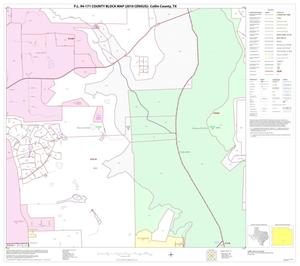 P.L. 94-171 County Block Map (2010 Census): Collin County, Block 76