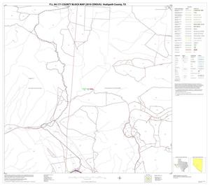 P.L. 94-171 County Block Map (2010 Census): Hudspeth County, Block 18