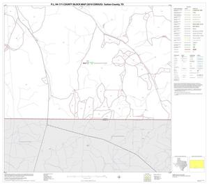 P.L. 94-171 County Block Map (2010 Census): Sutton County, Block 21