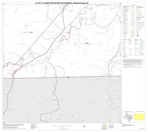 P.L. 94-171 County Block Map (2010 Census): Gillespie County, Block 21