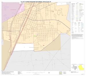 P.L. 94-171 County Block Map (2010 Census): Liberty County, Inset A02