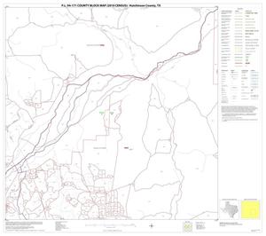 P.L. 94-171 County Block Map (2010 Census): Hutchinson County, Block 11
