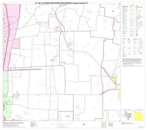 P.L. 94-171 County Block Map (2010 Census): Grayson County, Block 20