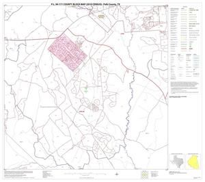 P.L. 94-171 County Block Map (2010 Census): Polk County, Block 21