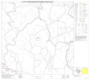 P.L. 94-171 County Block Map (2010 Census): Uvalde County, Block 11