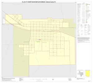 P.L. 94-171 County Block Map (2010 Census): Coleman County, Inset F01